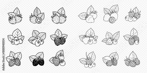 Set of black and white line art illustrations of various berries with leaves, perfect for healthy food and nature-themed designs.