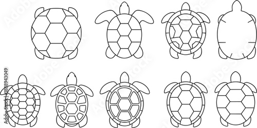 Sea Turtle Top View Outline Vector Set with Geometric Shell Variations for Marine Biology Education Infographics Logos and Minimal Line Art Designs