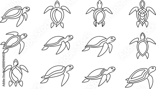 Minimal Sea Turtle Outline Vector Set with Multiple Swimming Poses and Top Views for Logos Coloring Books Education and Marine Line Art Designs