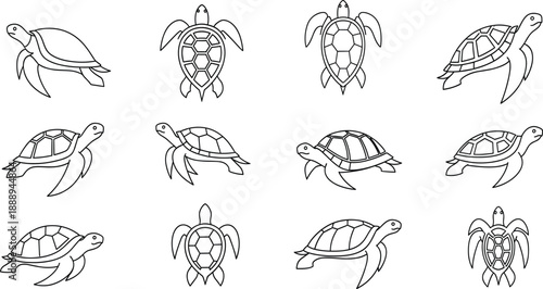 Sea Turtle Outline Vector Set with Multiple Swimming Poses and Top Views for Coloring Books Education Logos and Marine Wildlife Line Art Designs