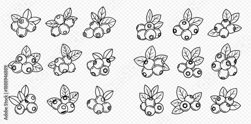 Set of hand-drawn blueberry illustrations with leaves, isolated on a transparent background, perfect for food and nature designs.
