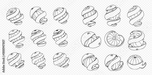 Set of hand drawn peeled oranges and tangerines with zest, citrus fruit sketch collection.
