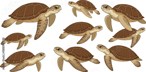 Realistic Sea Turtle Vector Set with Multiple Swimming Angles and Poses for Marine Wildlife Education Ocean Conservation and Nature Illustration Designs