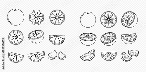 Set of hand-drawn orange fruit slices and whole oranges in various forms and angles, black and white line art.