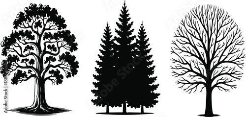 Black tree silhouettes set with deciduous tree, pine forest, and bare branched oak isolated on white