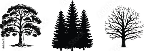 Black tree silhouettes set with deciduous tree, pine forest, and bare branched oak isolated on white