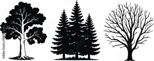 Black tree silhouettes set with deciduous tree, pine forest, and bare branched oak isolated on white