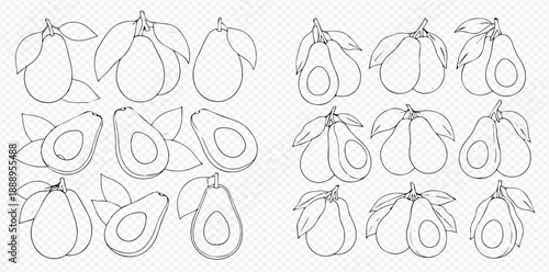 Avocado line art set. Whole and sliced avocados with leaves, hand drawn vector illustration.