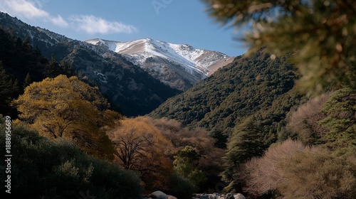 A tranquil mountain landscape dotted with various tree species that visually represent the climatic diversity of the region, serving as a stunning backdrop for outdoor adventure guides and travel