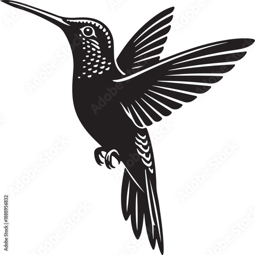 Black Hummingbird Logo Vector Illustration Isolated on White Background