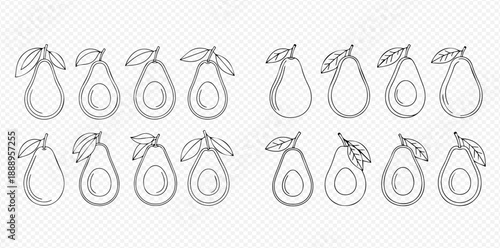 Avocado fruit outline drawing set with whole and halved avocados, leaves, and pits, isolated on a transparent background.
