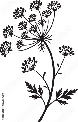 Valokuva Elegant Monochrome Wildflower Umbel Silhouette Graphic Design Element