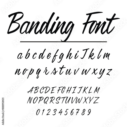Modern Handwritten Brush Script Font Vector Alphabet Set