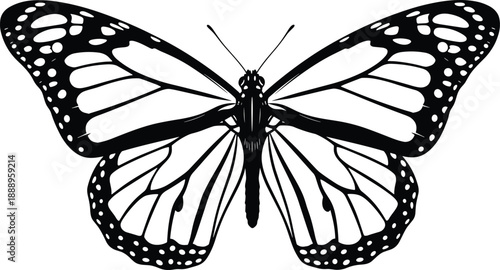 Black and white monarch butterfly line art vector illustration with detailed wing patterns and antenna isolated on white background for nature or garden design