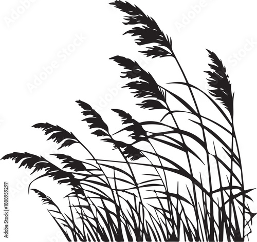 Detailed black silhouette of reeds and tall marsh grass blowing in the wind.