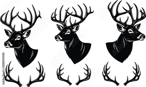 Black And White Honey Bee Vector Collection Featuring Realistic Winged Insects And A Cute Cartoon Mascot For Apiary Honey Production Nature Education And Graphics