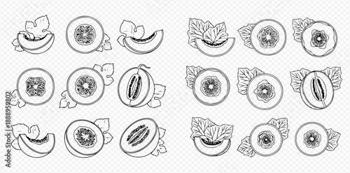 Set of black and white line art illustrations of various melon slices and whole melons with leaves, perfect for healthy food and fruit-themed designs.