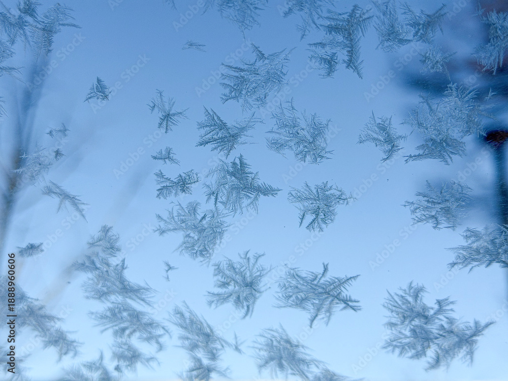 Obraz premium Detailed Ice Crystals and Frost Patterns on a Cold Winter Morning