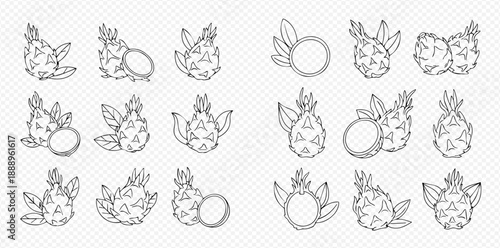 Set of hand-drawn dragon fruit illustrations with leaves and slices, black and white outline.