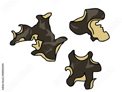 干しキクラゲのイラスト/Illustration of dried wood ear