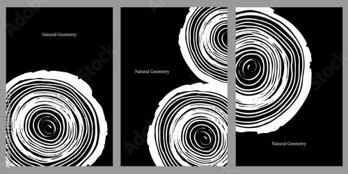 Elegant wood texture with golden rings and organic patterns used as a luxury cover.