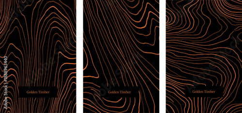 Elegant wood texture with golden rings and organic patterns.