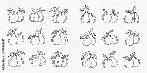 Outline drawing of pears and apples with leaves, set of illustrations for design.