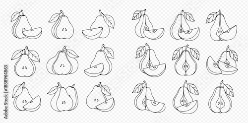 Outline vector illustrations of pears, whole and sliced, with leaves, perfect for healthy food designs.