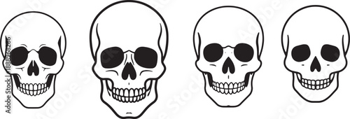 Vector measuring scale ruler illustration isolated on white background