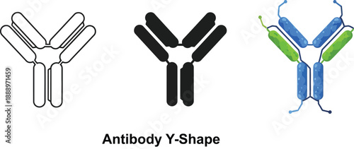 Three Y-shaped antibody illustrations including outline solid black and colored versions representing scientific research and medical concepts