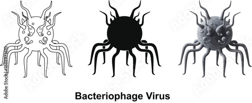 Bacteriophage virus illustration set showing outline silhouette and realistic rendering for scientific or medical concepts