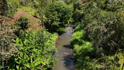 Lush green jungle river flowing in Kenya