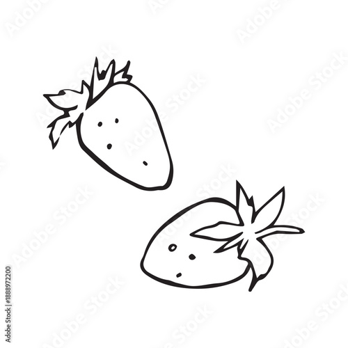 Two strawberries with stems, hand drawn black line art illustration in whimsical doodle style, isolated on white background, perfect for food, summer and romantic design.