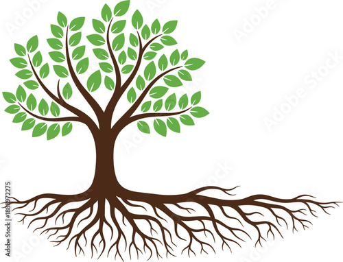 Tree with green leaves and deep roots, cad drawing flat vector illustration of nature life for environmental growth, ecology, and heritage branding.
