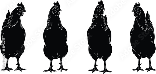 Hen and Chicken Silhouette Collection, Standing Poultry Bird Graphic, Farm Animal Livestock Silhouette, CAD Drawing Flat Vector Illustration Design Element
