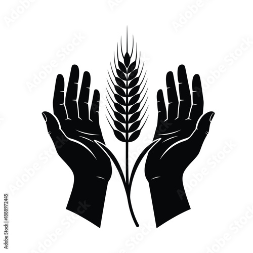 Vector illustration icon black silhouette of hands holding a wheat stalk symbolizing agriculture and harvest
