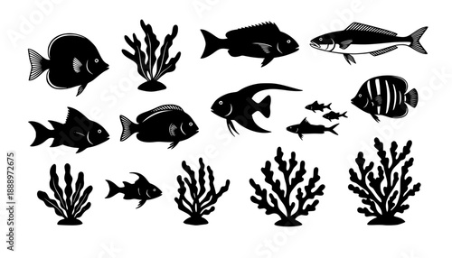 sea animals, fish, algae set silhouette ,on white background, vector
