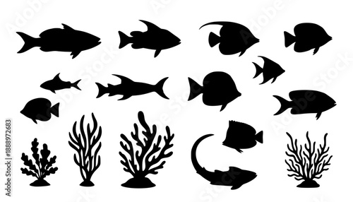 sea animals, fish, algae set silhouette ,on white background, vector
