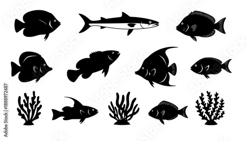 sea animals, fish, algae set silhouette ,on white background, vector
