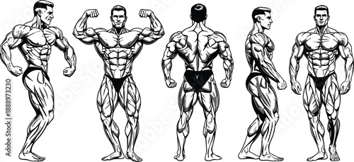 Vector Illustration Set of Bodybuilder Silhouettes and Muscular Men Posing for Fitness Gym Logos and Bodybuilding Competition, Isolated on White