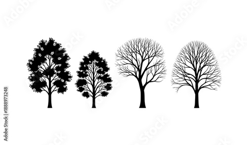 Four tree silhouettes showing seasonal growth stages black vector illustration
