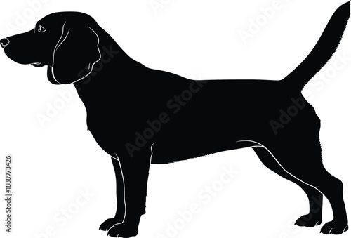 Beagle Dog Silhouette in Side View Profile, Standing Hound Pet Figure, Animal Canine Graphic, CAD Drawing Flat Vector Illustration Template
