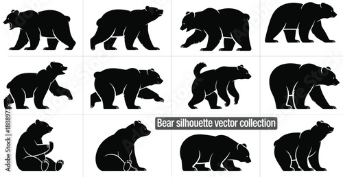 Bear silhouette vector collection showing different poses wildlife animal illustration isolated on white background for adobe stock design, art set