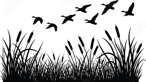 Wild ducks flying over marsh grass and cattails silhouette set in black and white cad drawing flat vector illustration