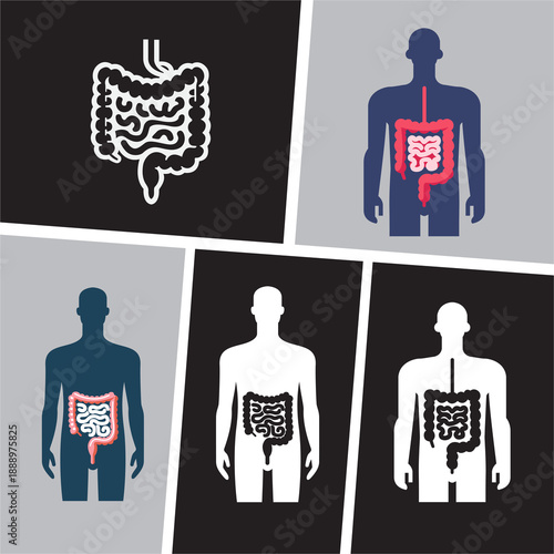 Intestines set icon vector