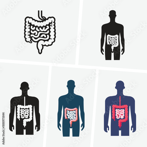 Intestines set icon vector