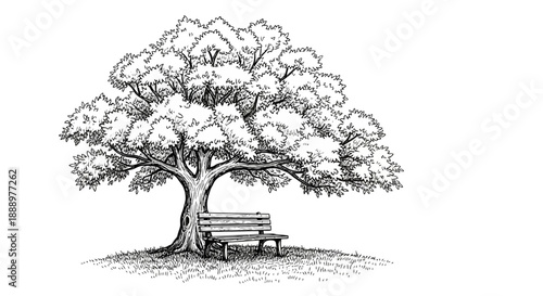 Minimalist Tree and Bench Line Art Sketch - Peaceful Nature Ink Drawing Illustration