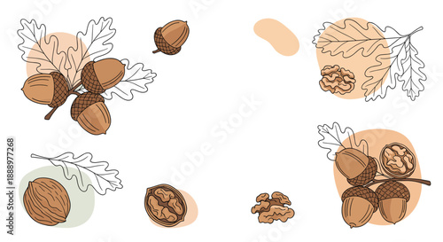 Warm autumn pattern with acorns oak leaves and walnuts in brown and orange tones with decorative blobs on a white background.
