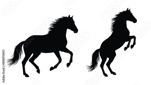 Two majestic horses depicted in striking black silhouette