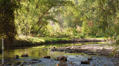 Billede på lærred Sunlit woodland creek with stones and lush green riverbank